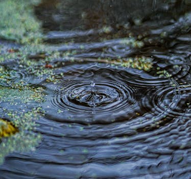 The Ripple Effect: Unpacking Online Gambling's Social Impact